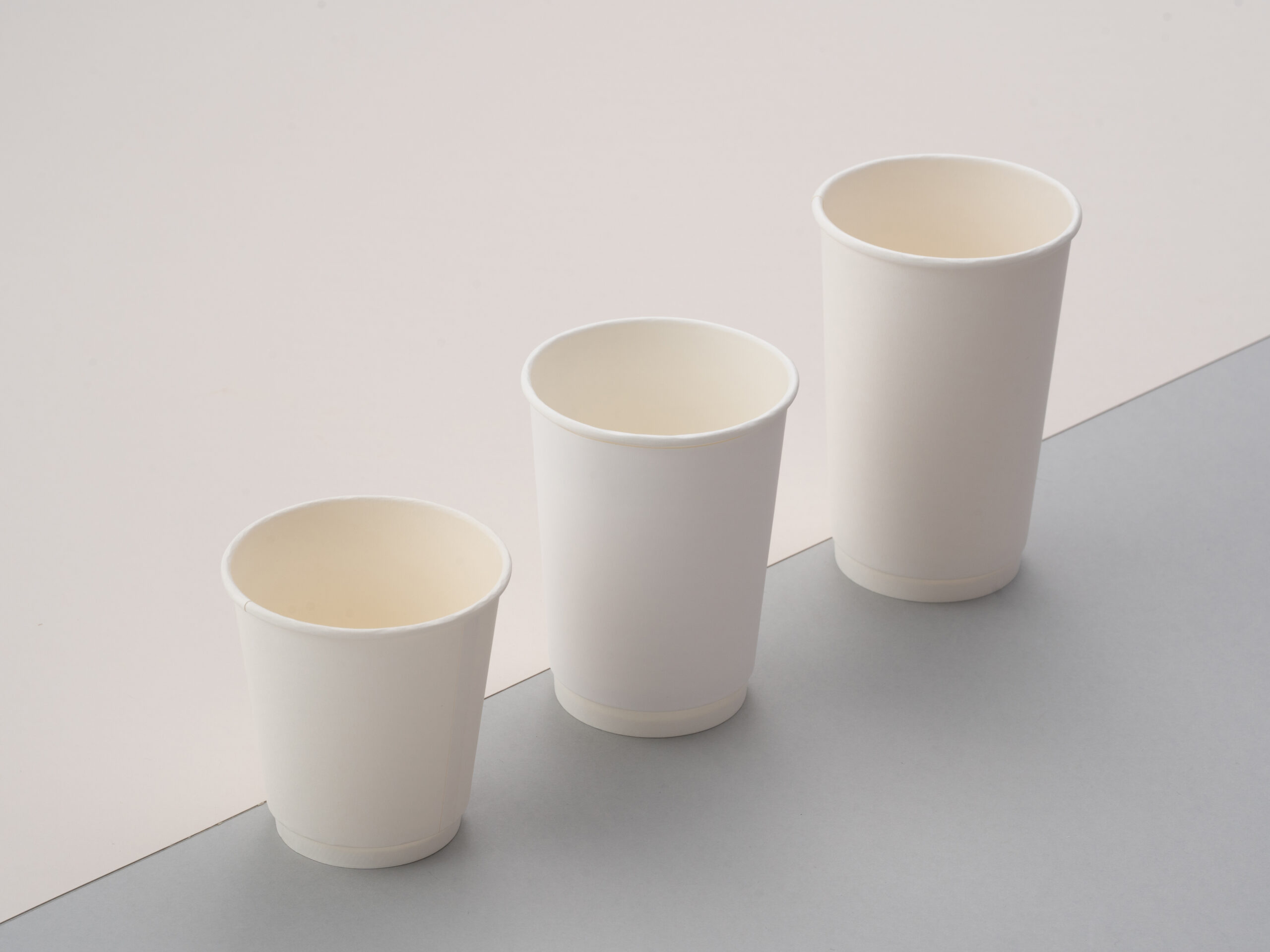 Disposable Paper Cups – Double Wall — 2