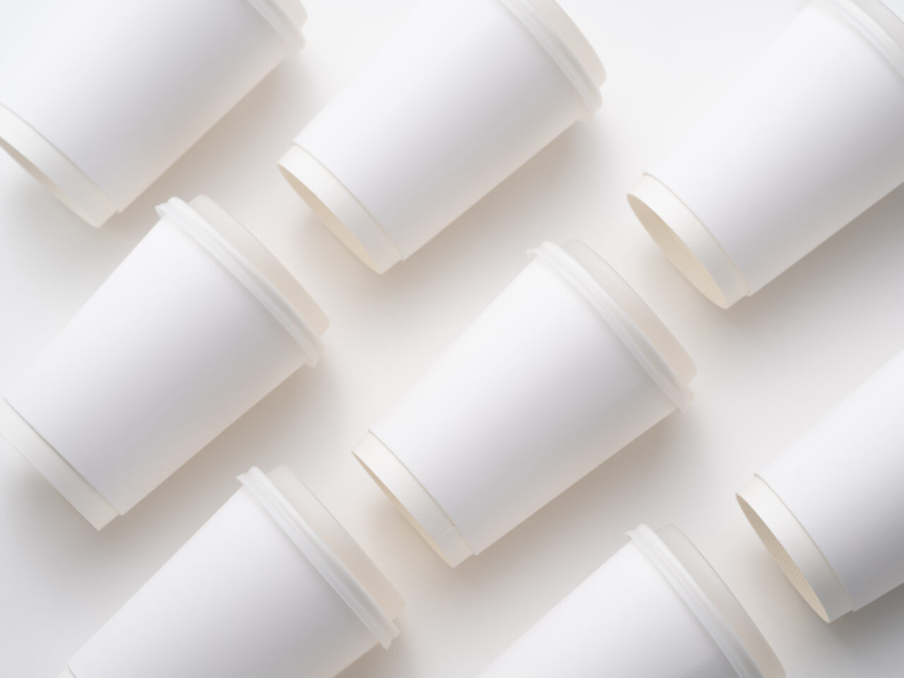 Disposable Paper Cups – Double Wall — 3