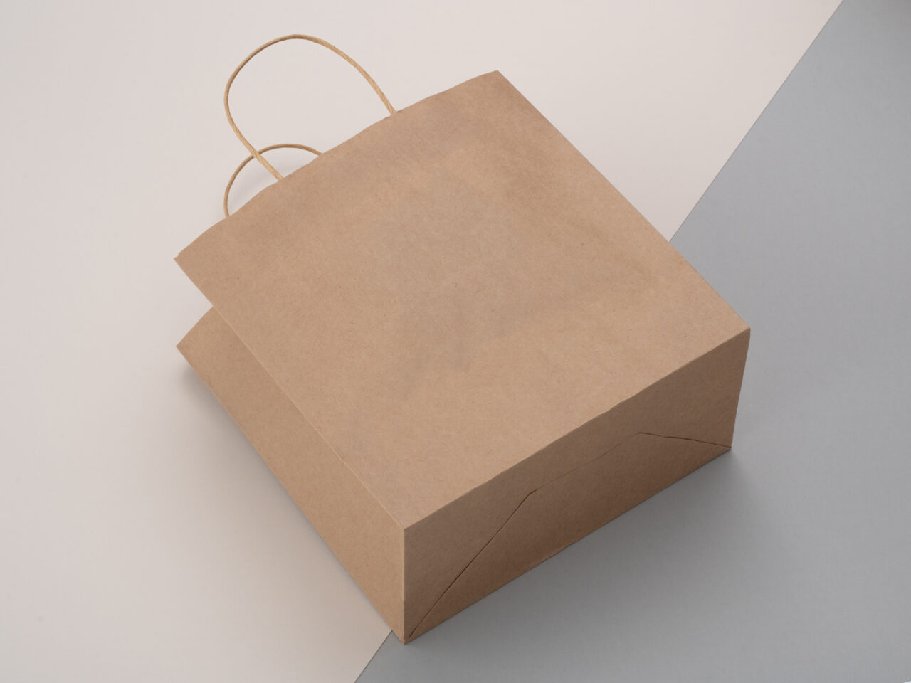Takeaway Paper Bags – Handle — 1