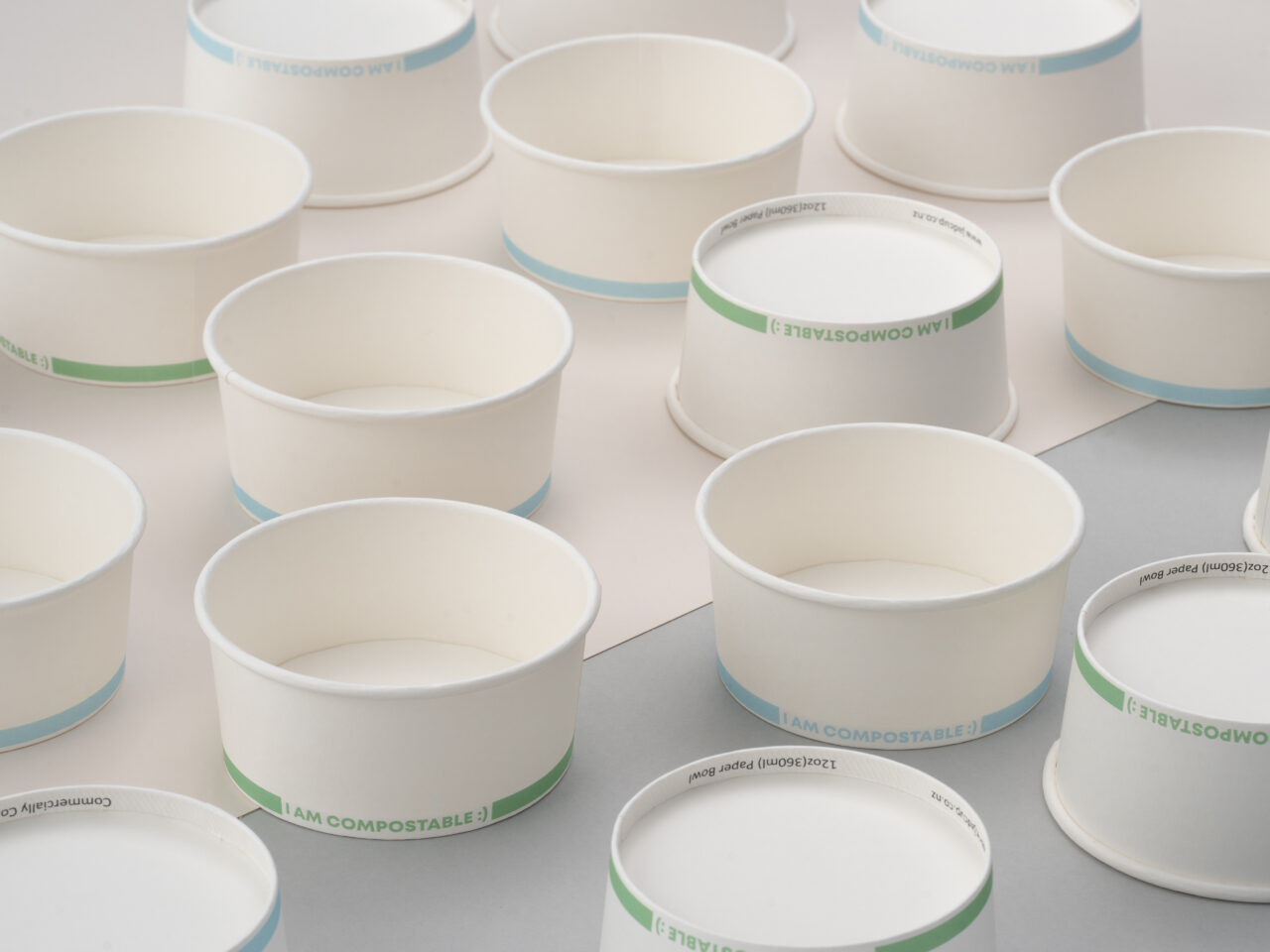 Paper bowl — 3
